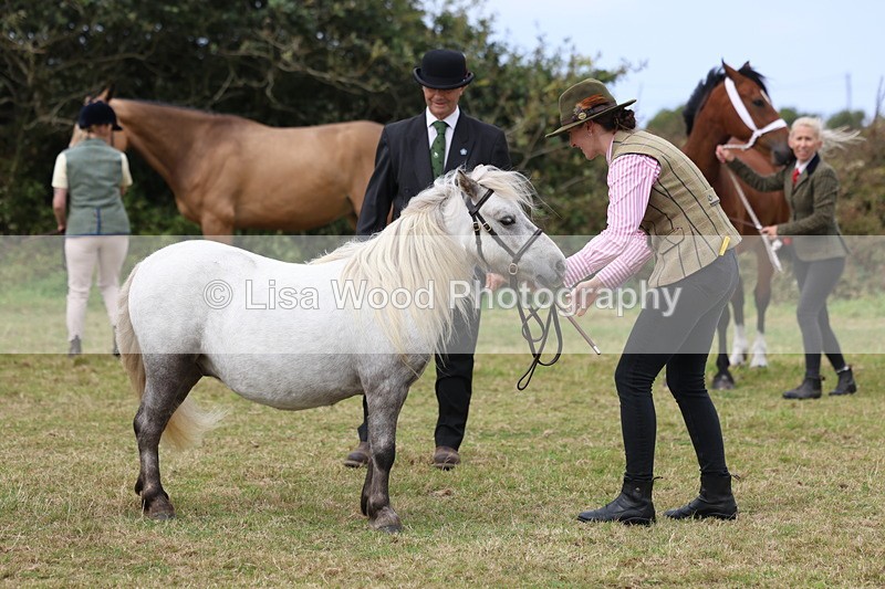 3E7A4452 - Class 15: Three Year Olds