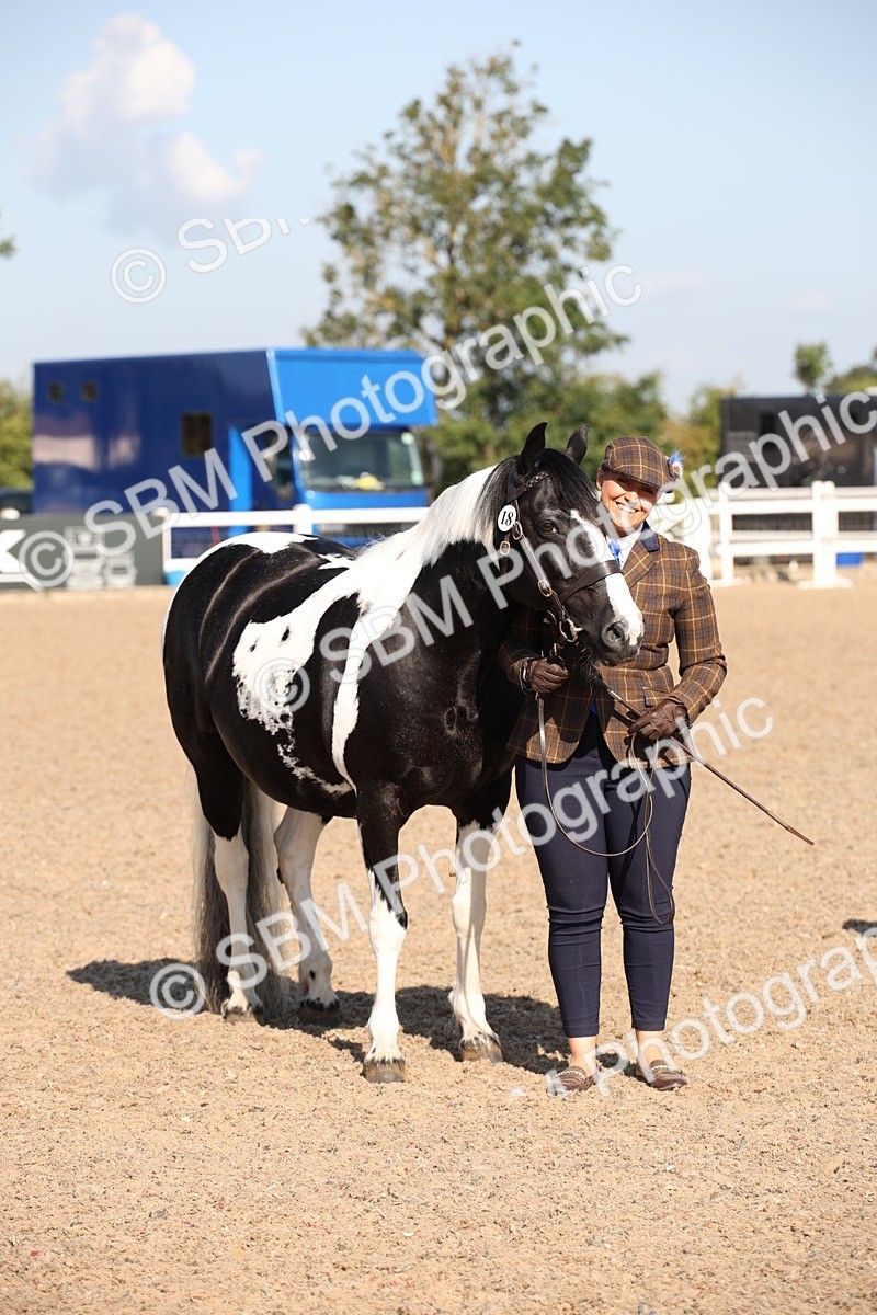 SBM_01554 - Class 15 IH Coloured