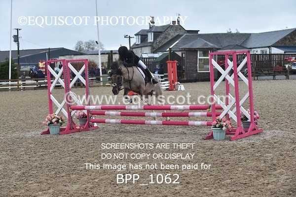 BPP_1062 - CLASS 1 Club/ Unaffiliated 60cms Open