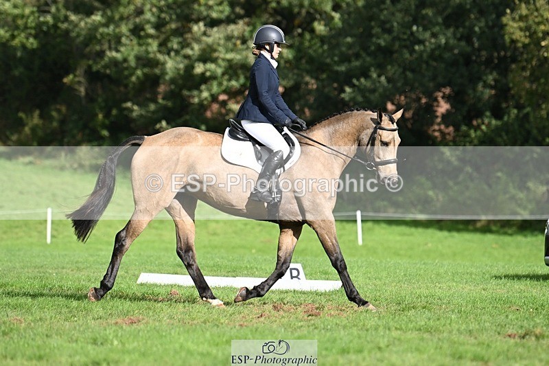 231020-143013-10654 - 498-SILVERLININGS.APHRODITE-Emily.Dobson-DR