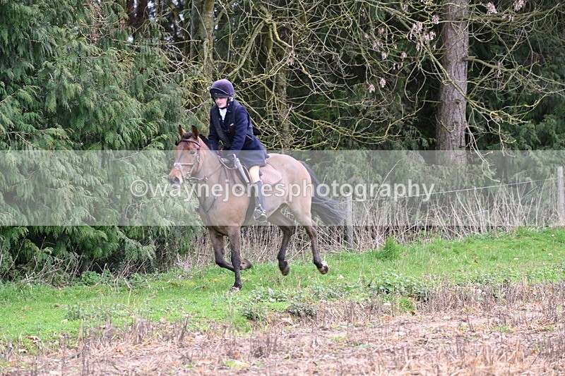 WJ6_9534 - Line Four