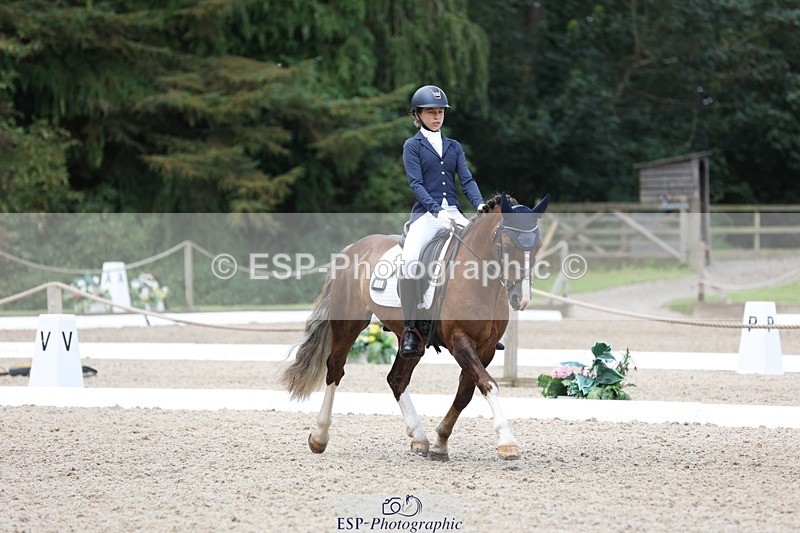 230812-120016-03904 - Cls 5 Novice Bronze 11.15 to 12.50 break