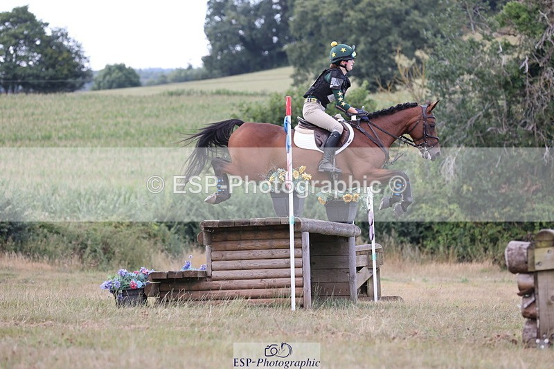 250802A-175844-08643 - H-353-Nancy.Wilson.Connell-BLUESTONE.BUTTERFLY