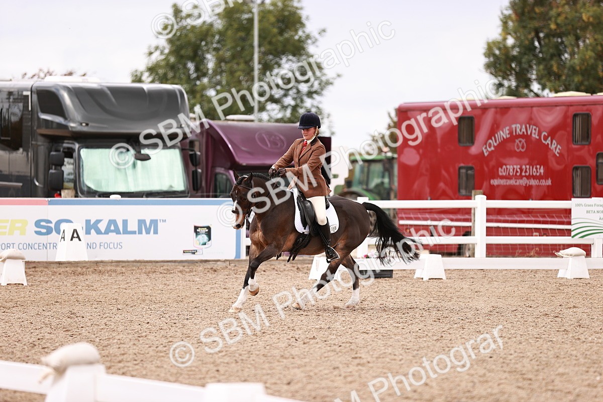 SBM_06245 - Class 37 - Novice 5