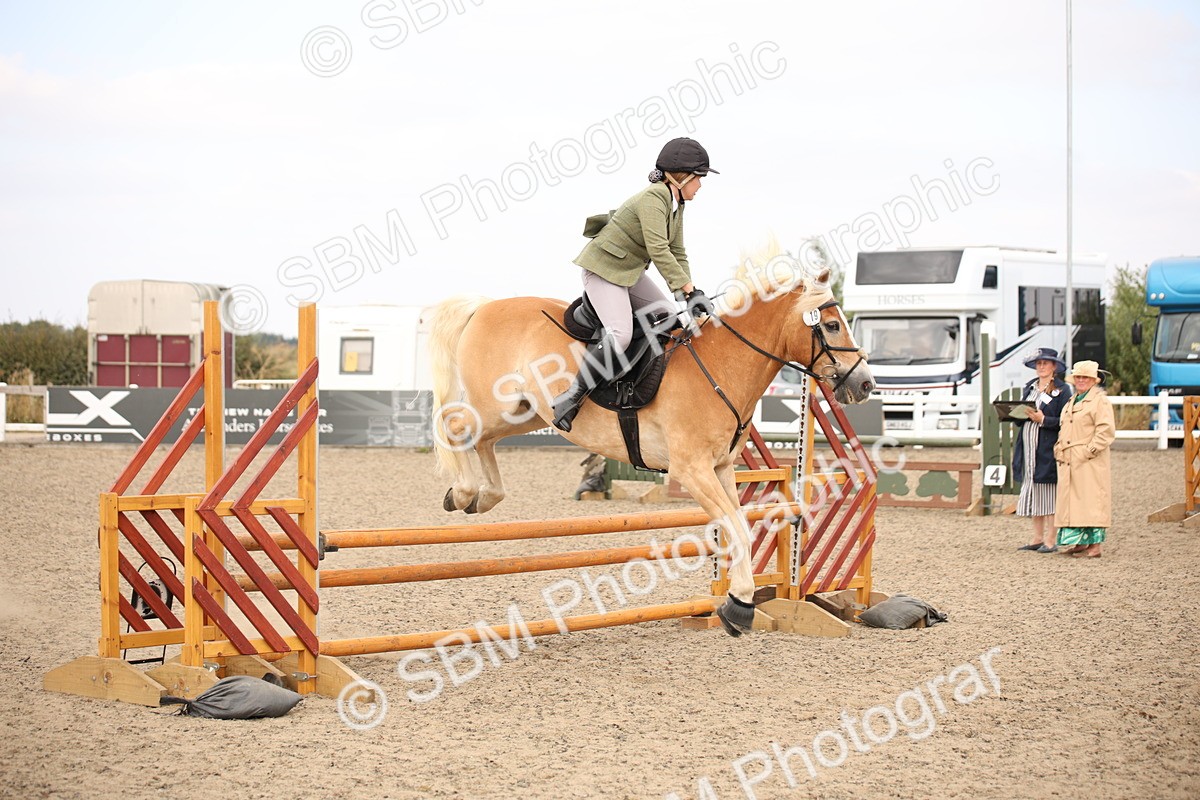 SBM_16176 - Class 409a - Working Veteran 80cm (15-19)