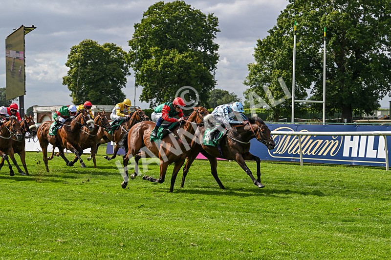 030824-Race 4-Cerulean Bay-1736 - Race 4