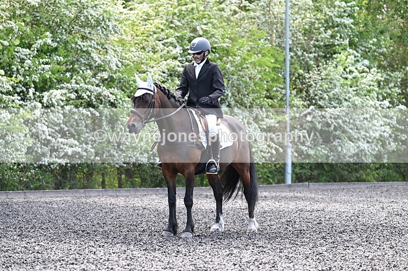 WJ7_8810 - Time 11:32 to 11:54