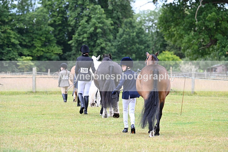 WJ7_6458 - Class 5 Handsome Gelding in hand