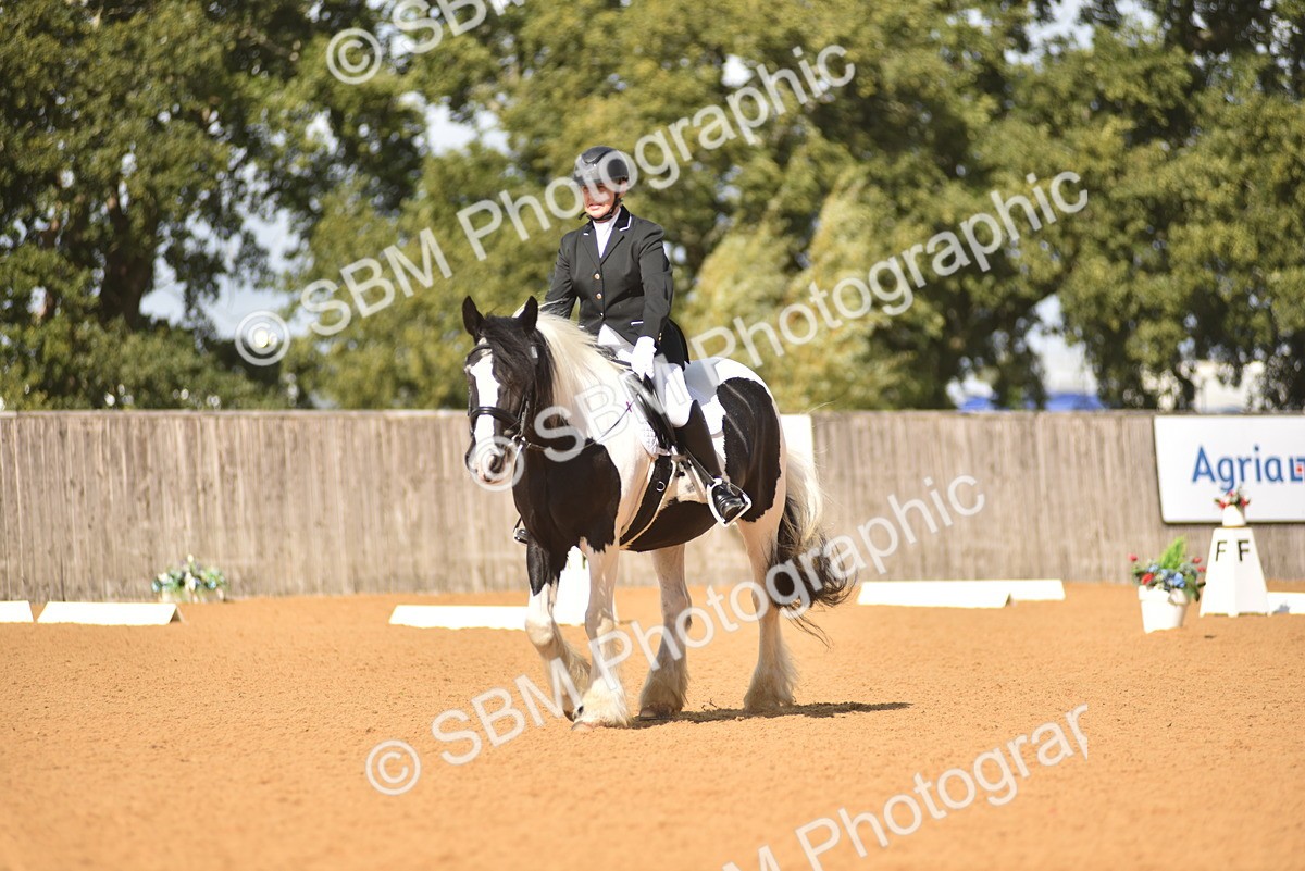 SBM_03384 - D4 - Small Tour Championship Intro 4