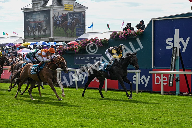 060926-Race 2-Oriental Prince-7220 - Race 2 2.05pm Fine Details Car Valeting Sprint Handicap