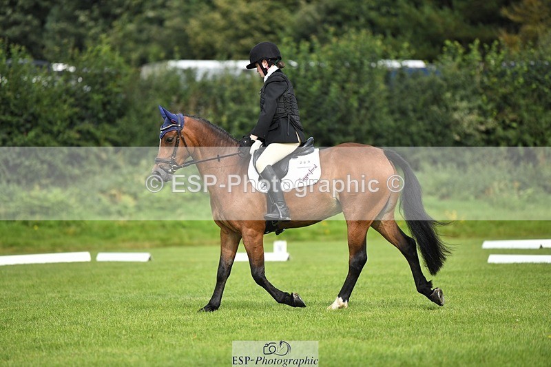 230826-103351-15520 - Sections C & D 10 to End