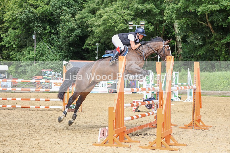 3E7A7594 - Class 9: Senior Foxhunter/1.20 open