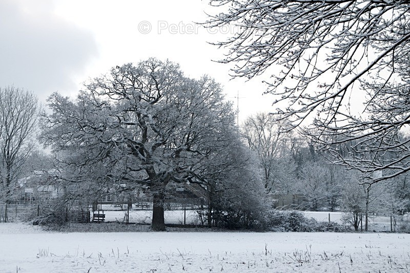  - Winter