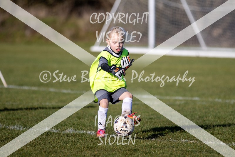 1DX31432 - 2026-01-17 FC Abbey Meads U9 Purple Girls V Develop FC U9 Girls