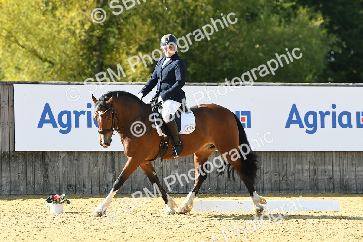 SBM_25020 - D13 - Grand Tour Championship - Prelim 12