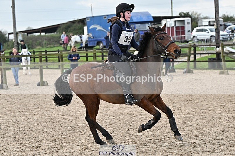 241110-122656-00684 - 50-55cm Arena Eventing