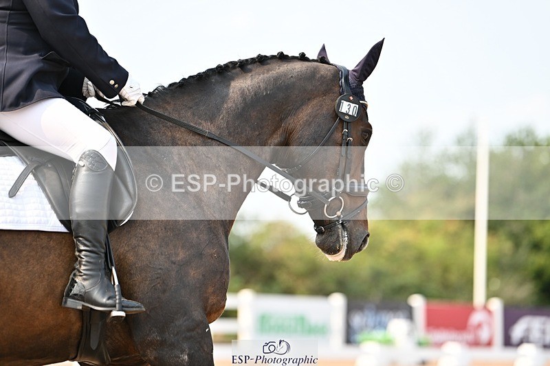 250816-151201-05781 - 130-Donna.BoydVagebond.vd.Withoeve.Z