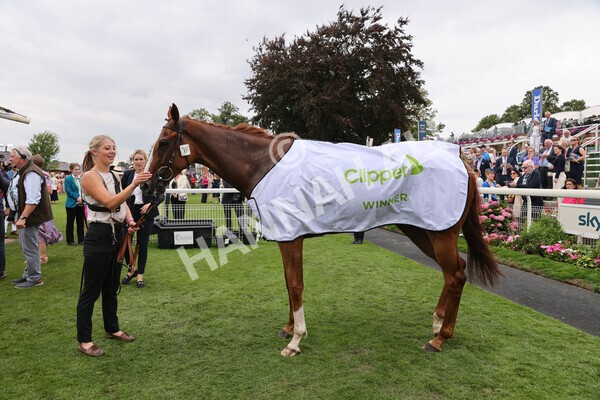 yr18082022r3-60 - Race 3 3.00pm Clipper Logistics Stakes