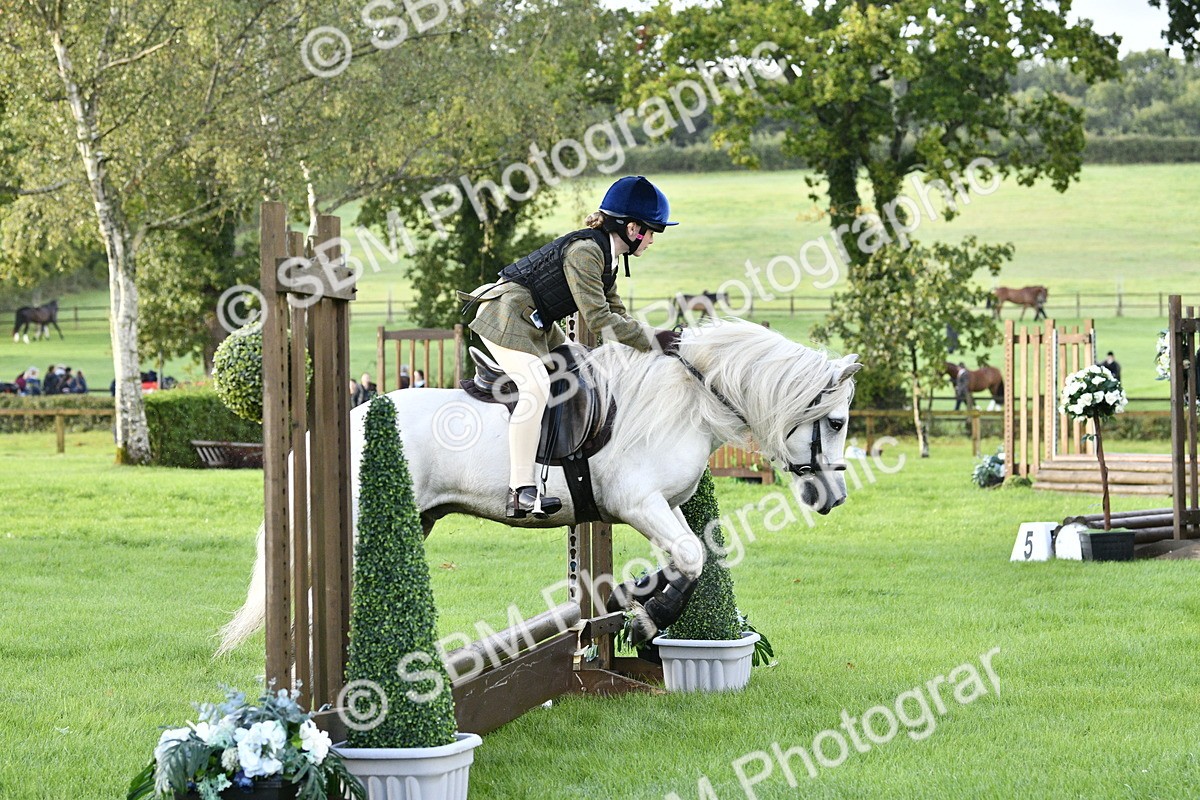 SBM_35399 - S30 - Nursery Stakes Working Hunter Pony