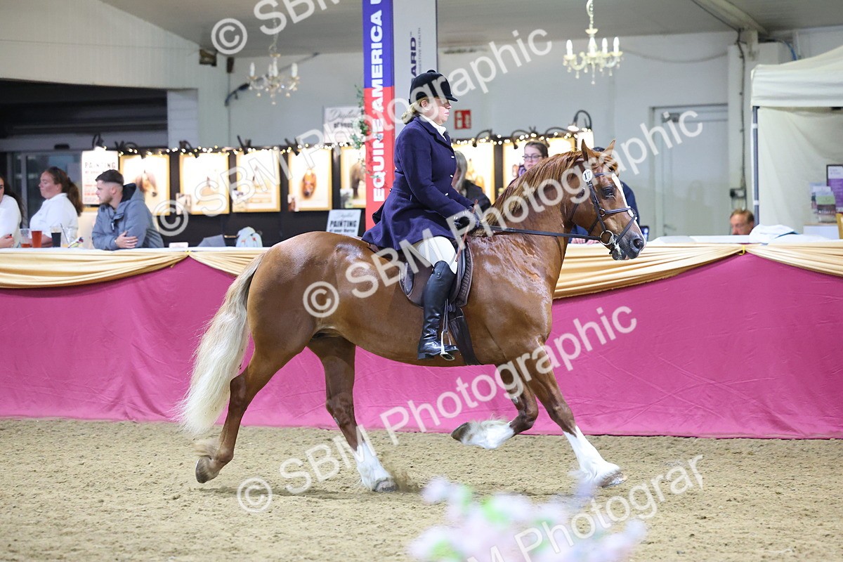 0B8A4602 - Class Q Style & Performance Champ