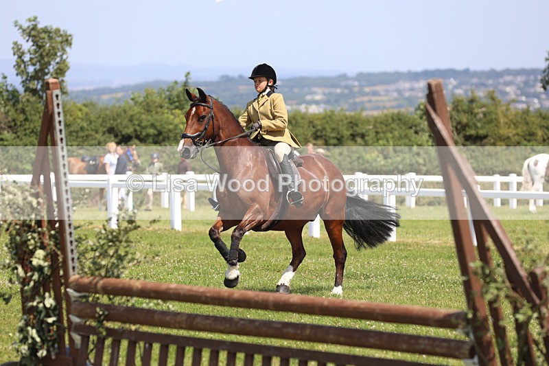 JPP_2995 - Class 22: Working Hunter 70cm