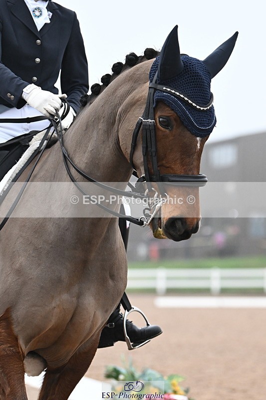 240217A-115501-02465 - 228-Abby.Bannell-Royal.Dalliance