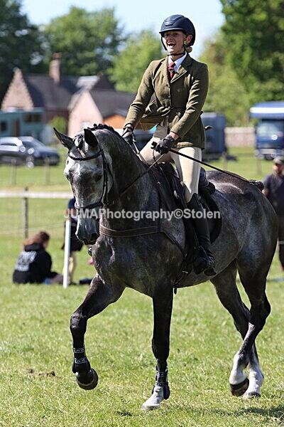 IMG_4590 - Working Hunter