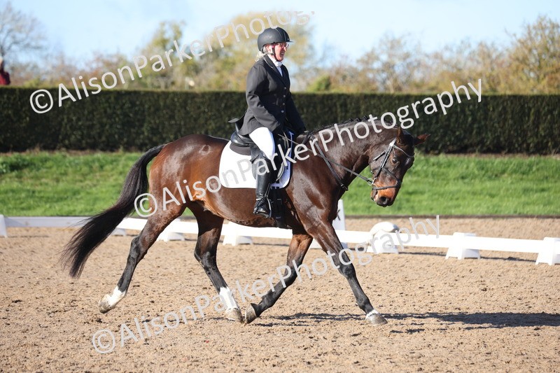 20251102-0504 - Class 3 - Novice 5