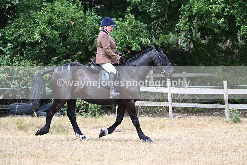 WJ7_1309 - Class 8 Ridden Veterans