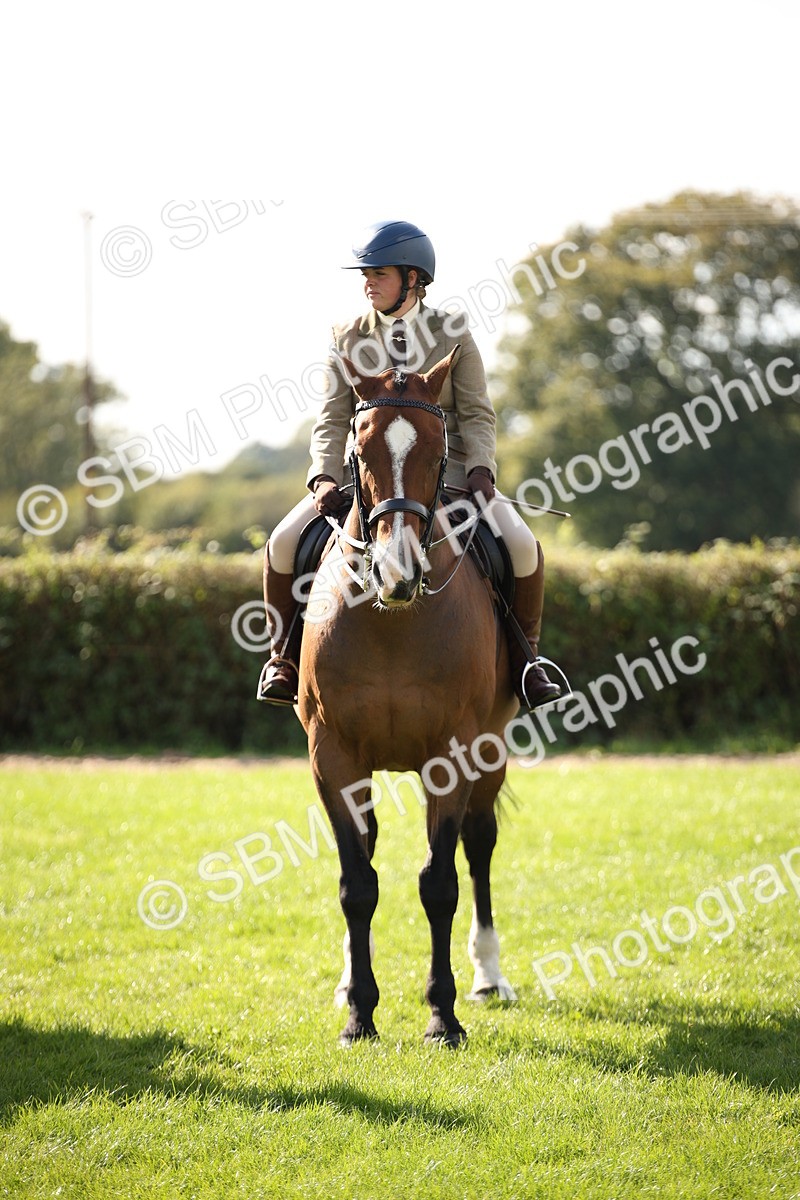 SBM_50082 - S26 - Young Veteran - Ridden