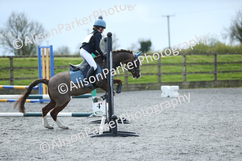 20260412-1719 - Show Jumping