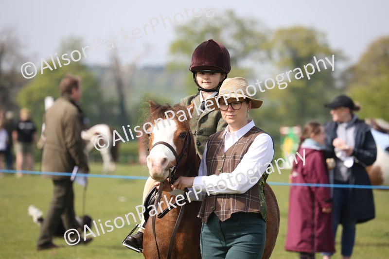 20260426-0476 - Class 30 - Tiny Tots Lead Rein