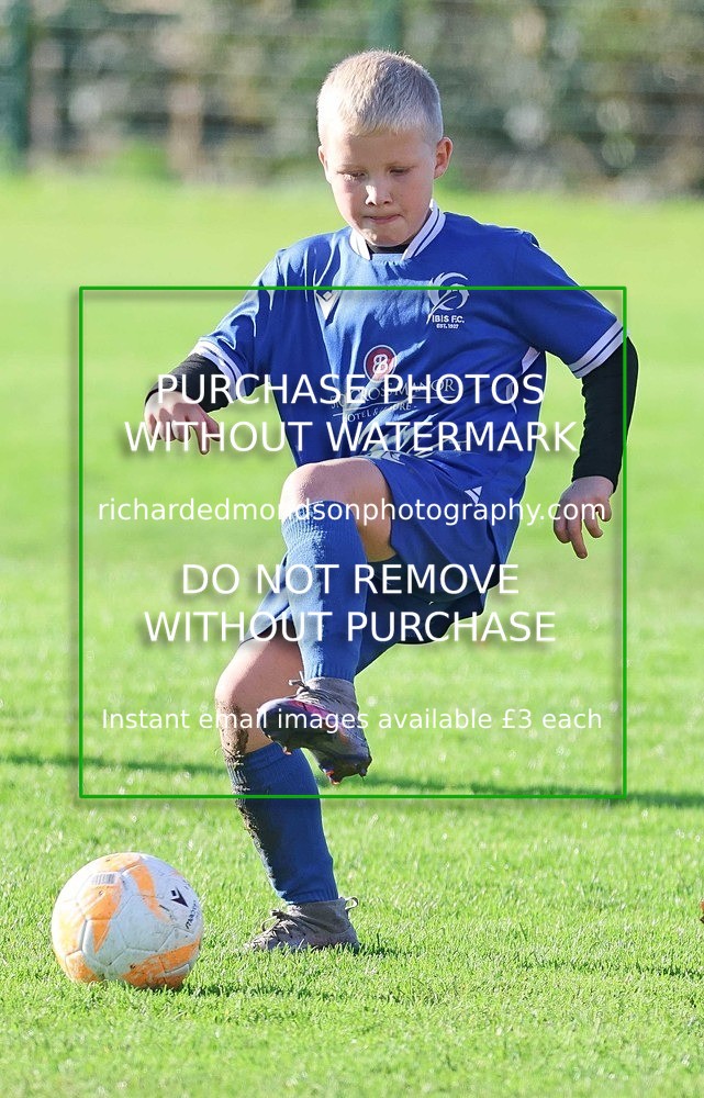 533A4719 - Ibis Youth Under 9's (17/10/26)