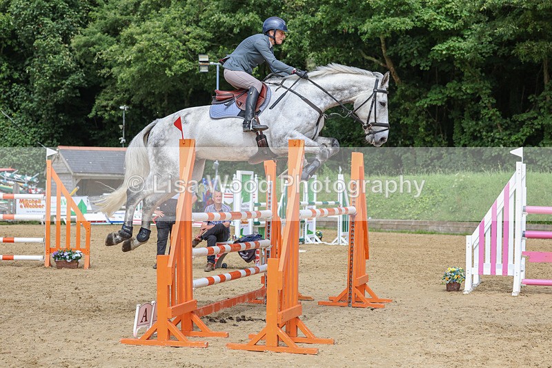 3E7A7569 - Class 9: Senior Foxhunter/1.20 open