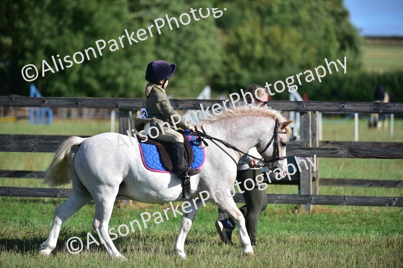 20260906-0504 - Class 6 - Minimus Jumping
