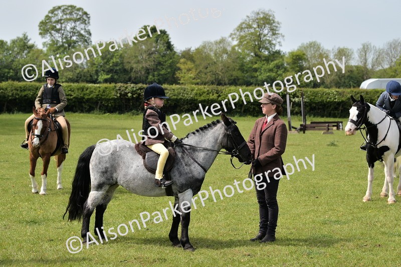 20260426-2321 - Class 20 - Beginner Working Hunter