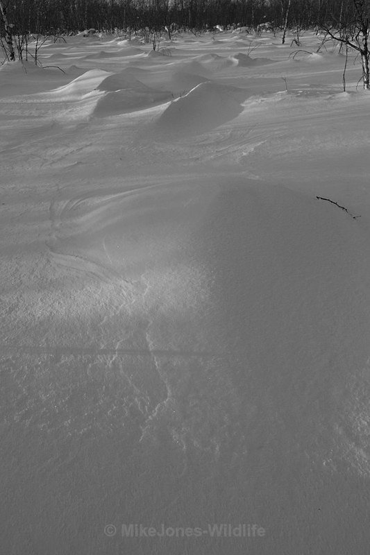 Karesuando, Northern Sweden/Finland - FINLAND & SWEDEN LANDSCAPES