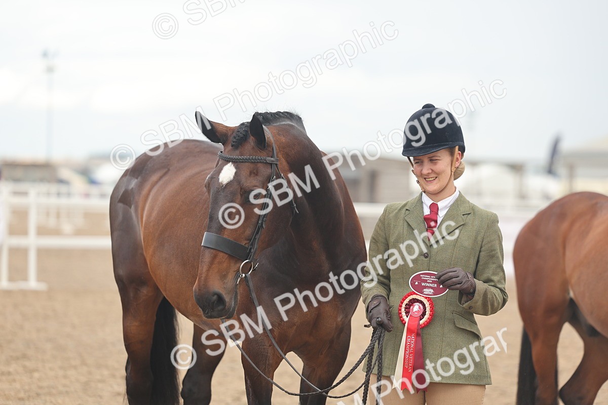 SBM_07942 - Class 28 - IH Veteran Horse