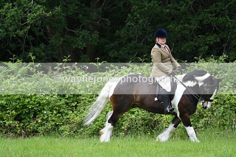 WJ7_2376 - Class 12A Coloured Class