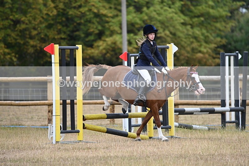 WJ6_0157 - Class 13 Novice Jumping 60cm