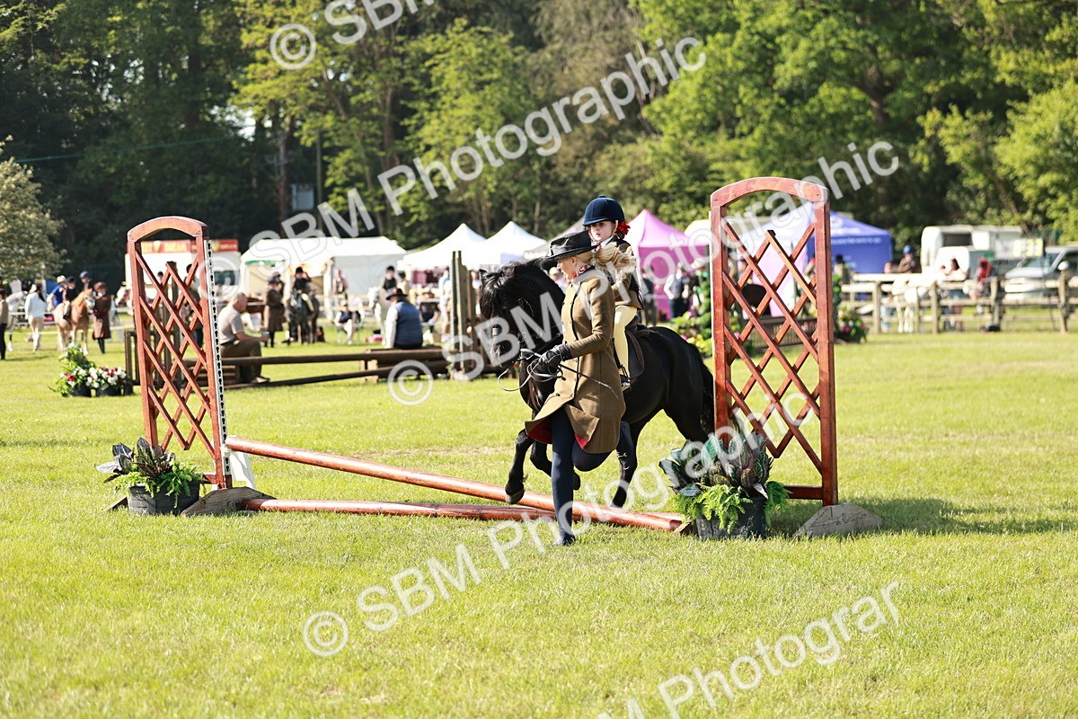 SBM_11274 - Class 106-107 - BSPS LIHS Working Sports Pony