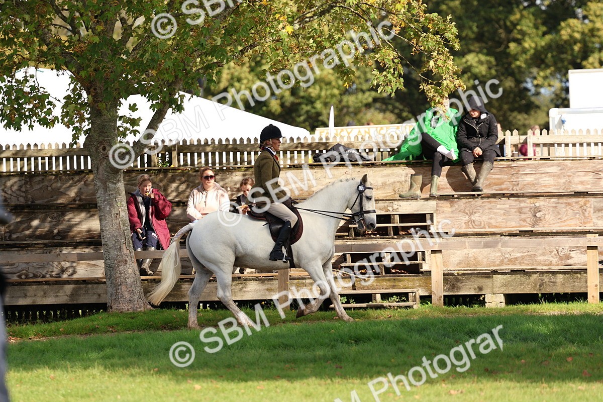 SBM_47817 - S28 - Veteran Ridden