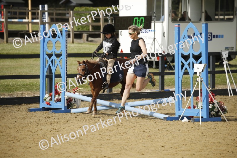 20250622-1353 - 40cm