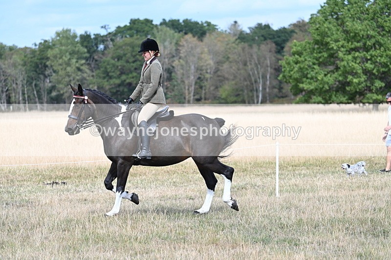 WJ7_5842 - Class 13 Ridden Veterans