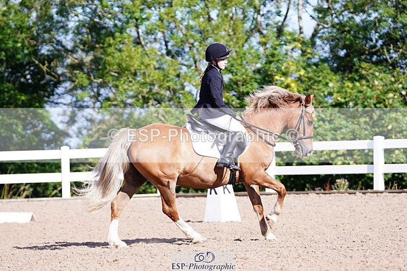 240809A-091254-00179 - Dressage Competition