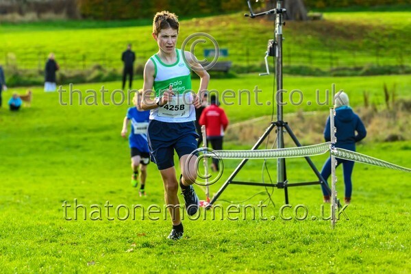 NatRel25-914635 - Young Male Set Two