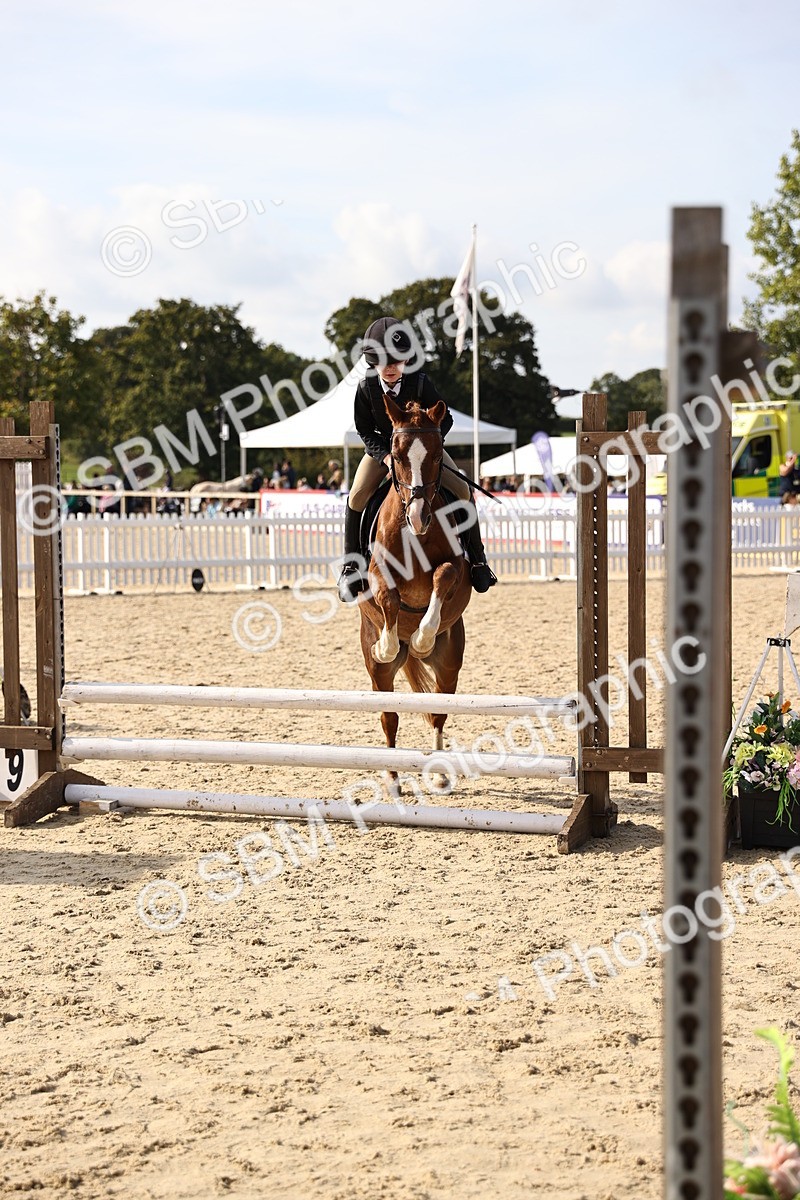 SBM_61931 - J12 - Junior Pony 55cm Championship