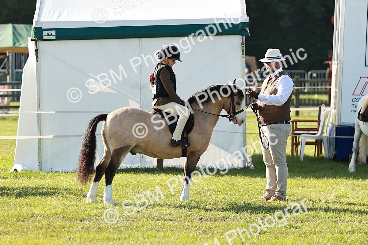 SBM_11078 - Class 106-107 - BSPS LIHS Working Sports Pony