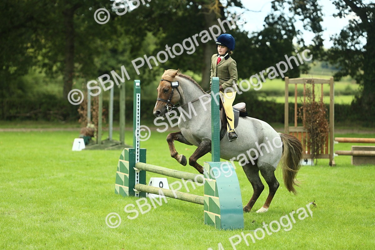 SBM_42781 - S30 - M&M Working hunter Pony