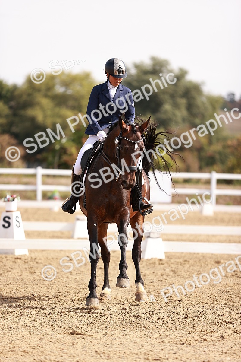 SBM_017574 - Class 11 - Advanced Medium 6